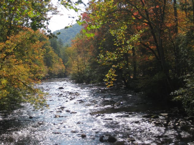 Gatlinburg, Tennessee Chalet Rental - Gallery Image #4