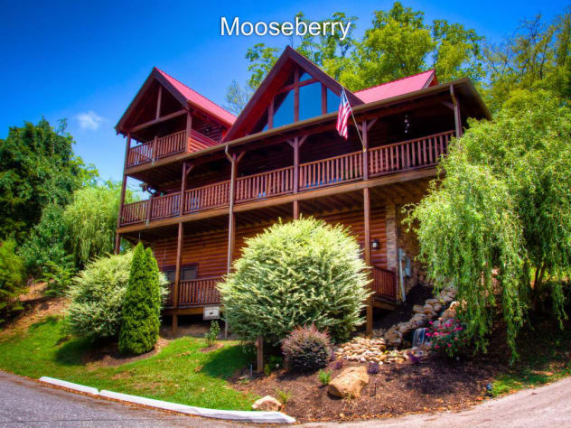 Mooseberry Alpine Mountain Village