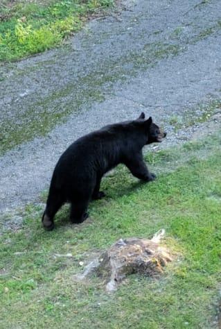 Gatlinburg, Tennessee Lodge Rental - Gallery Image #24