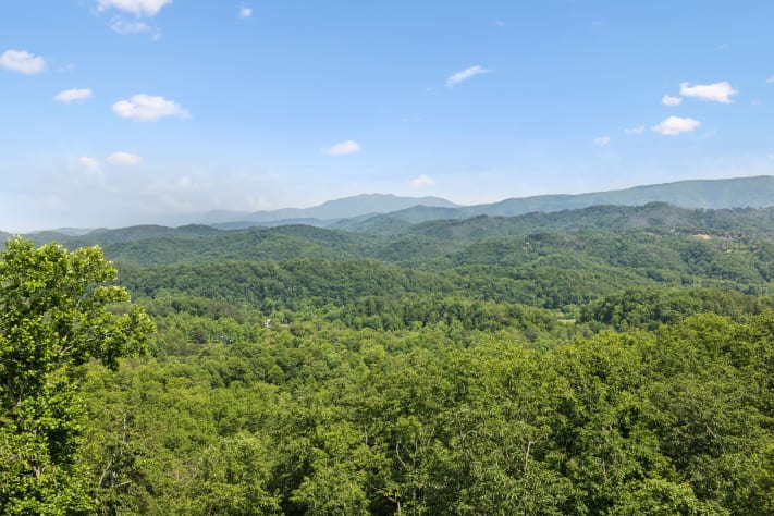 Gatlinburg, Tennessee Cabin Rental - Gallery Image #5