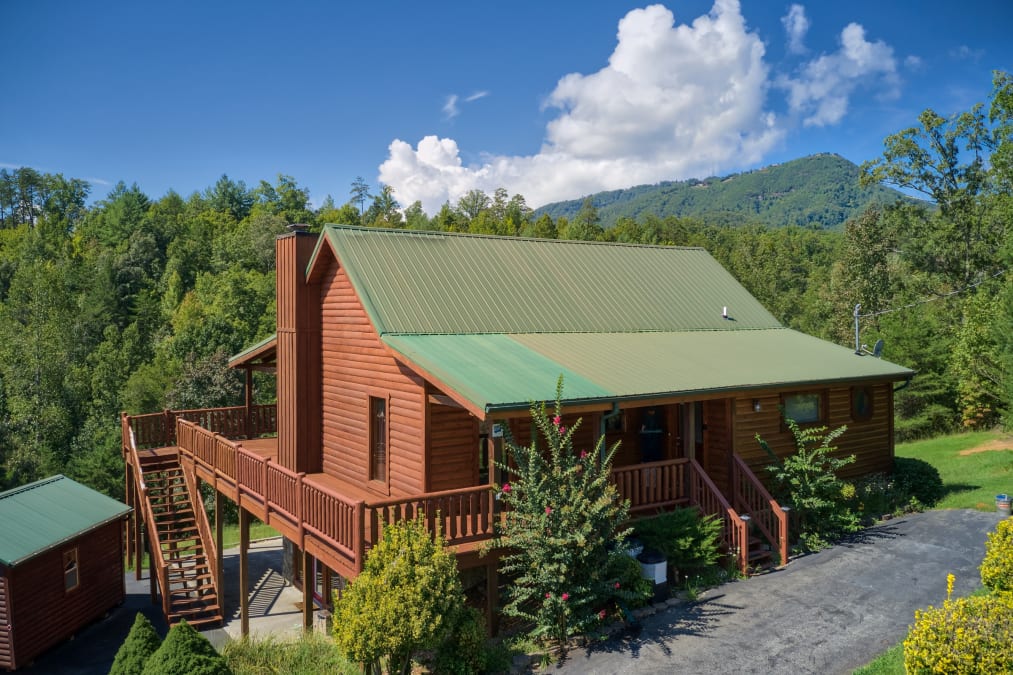 CABIN FEVER photo 1