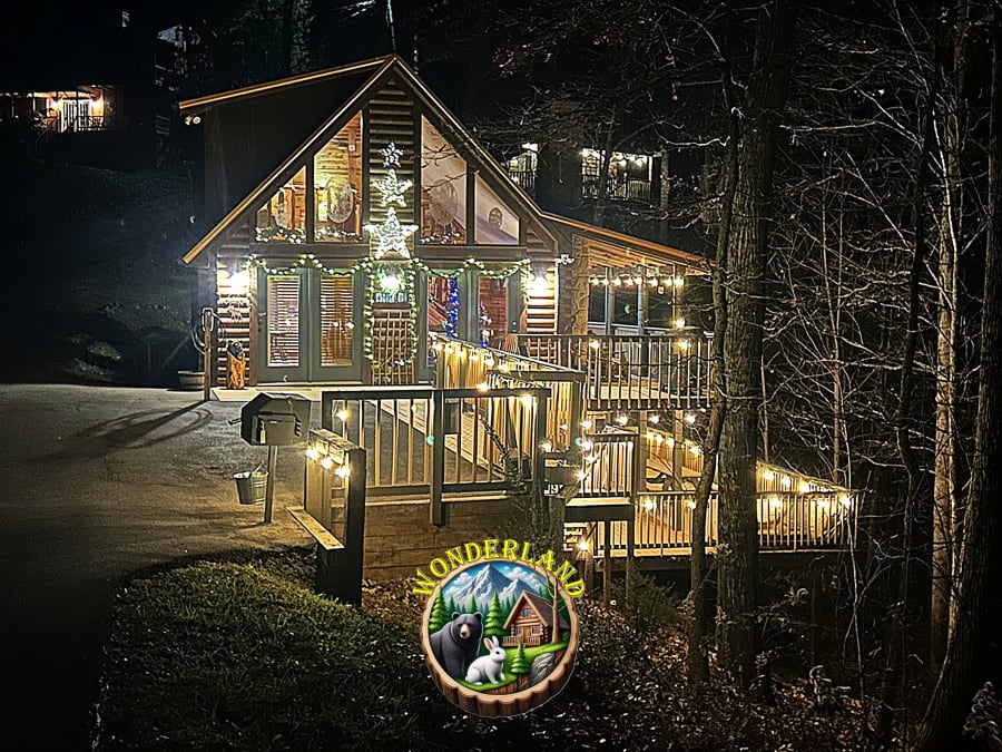 Wonderland Cabin photo 1