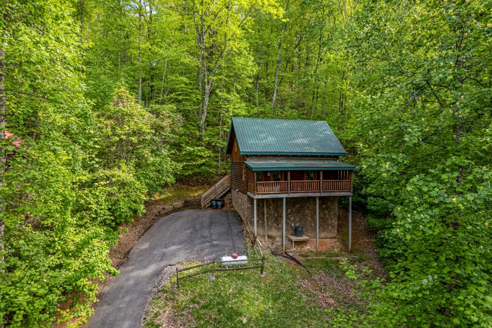 DUKE'S DEN photo 1