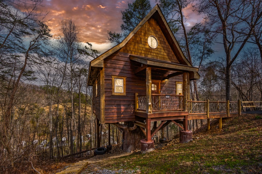 Bear Cub Treehouse photo 1