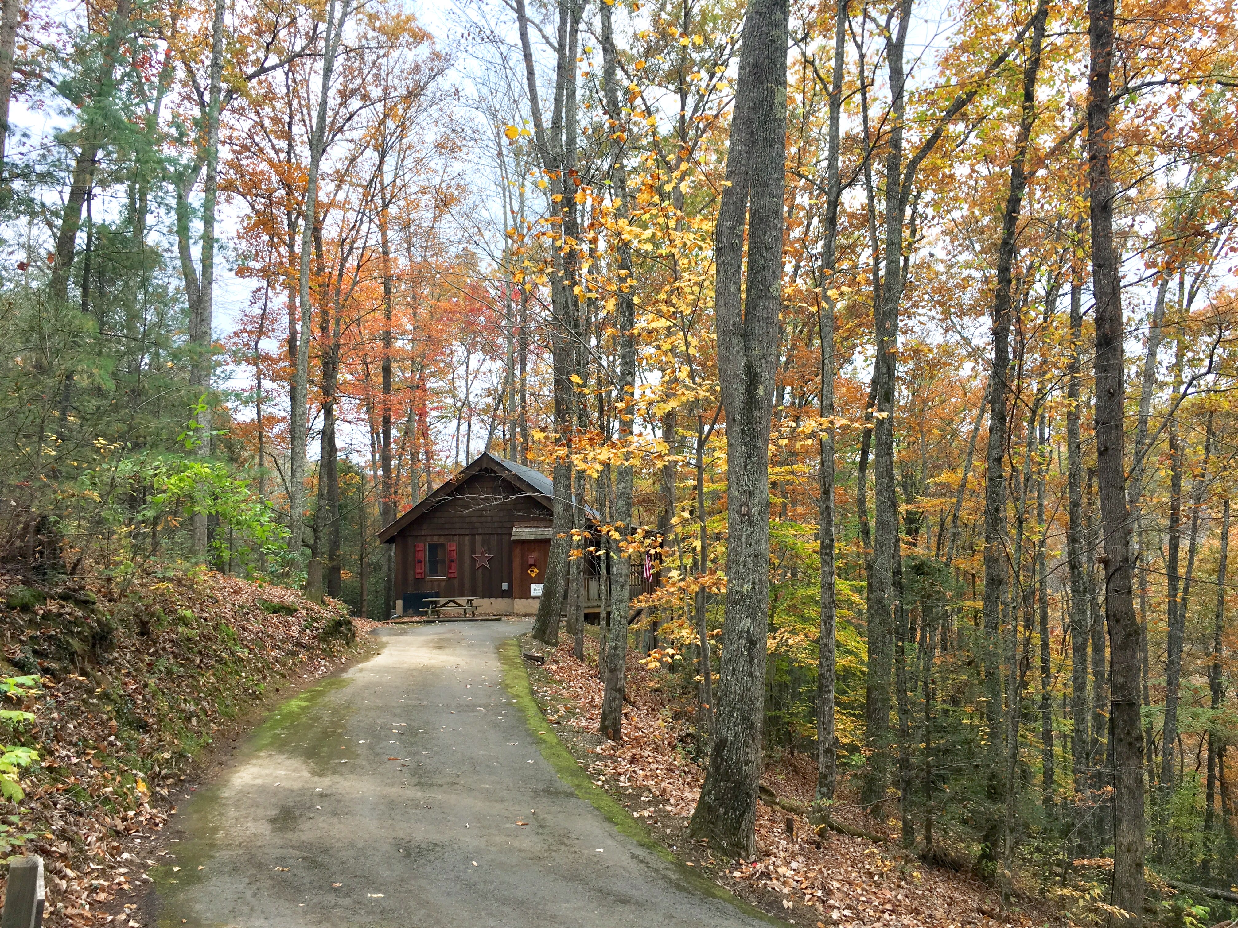 Black Bear Lodge Gatlinburg Area