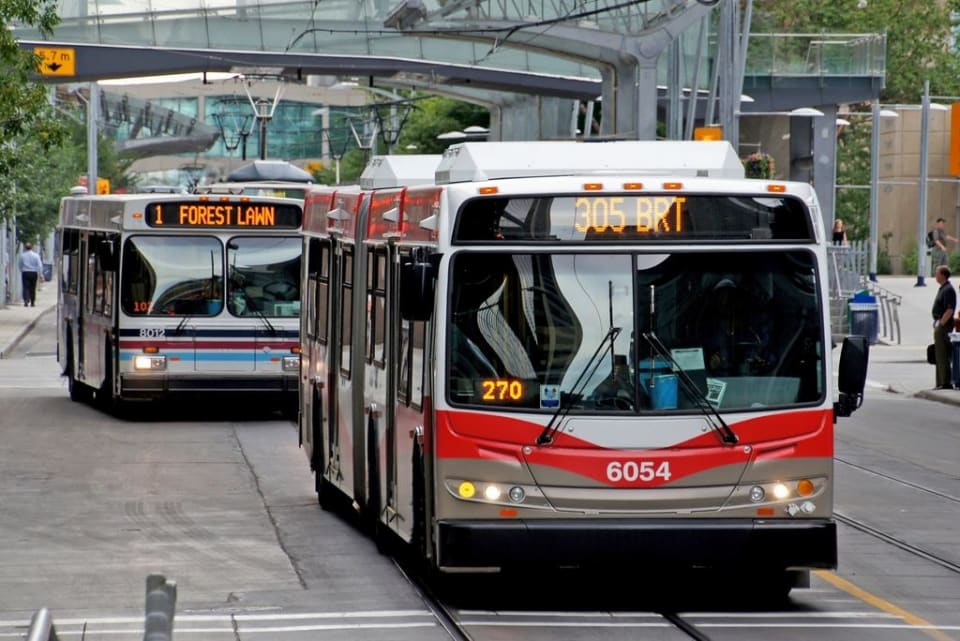City transit buses at a downtown stop