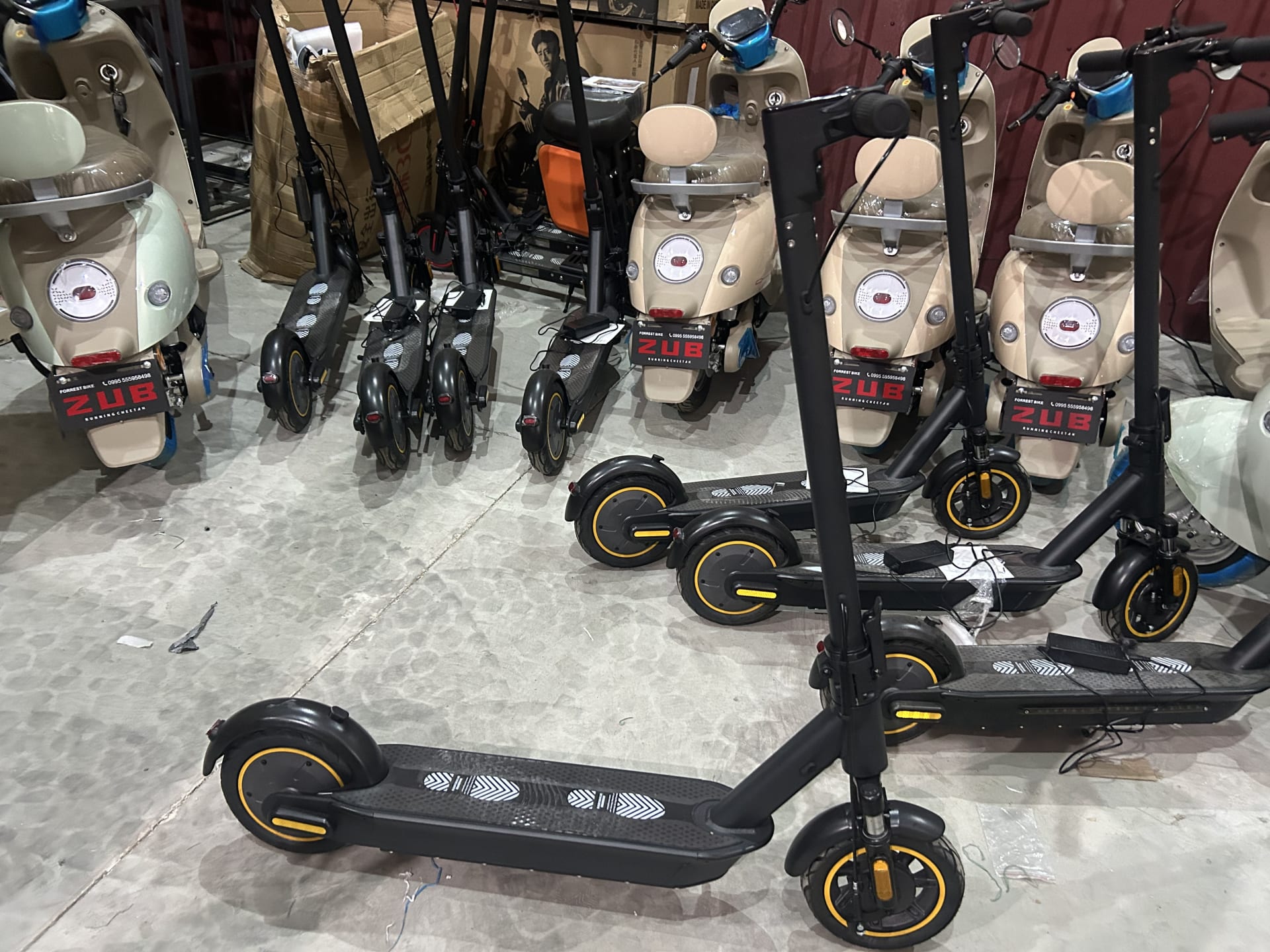 Scooter — 4
