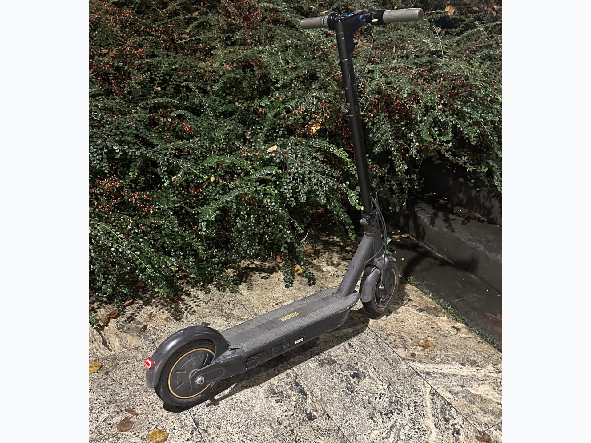 The famous ninebot G30 max — 1