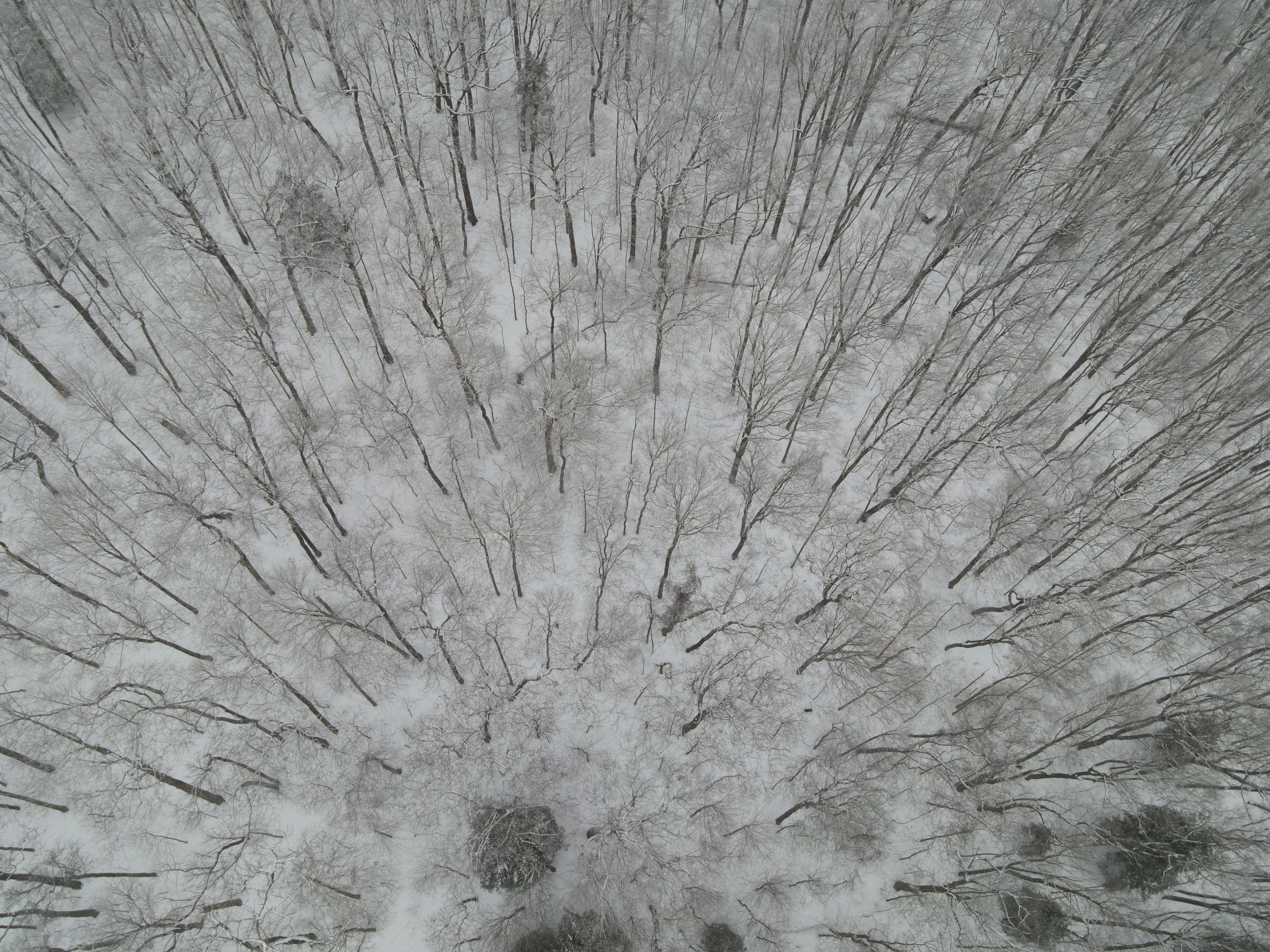 DJI_0132
