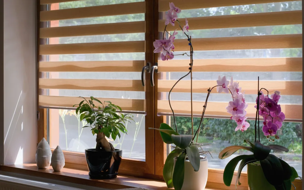 Dual banded shades with beautiful flowers and sunlight illuminating the scene