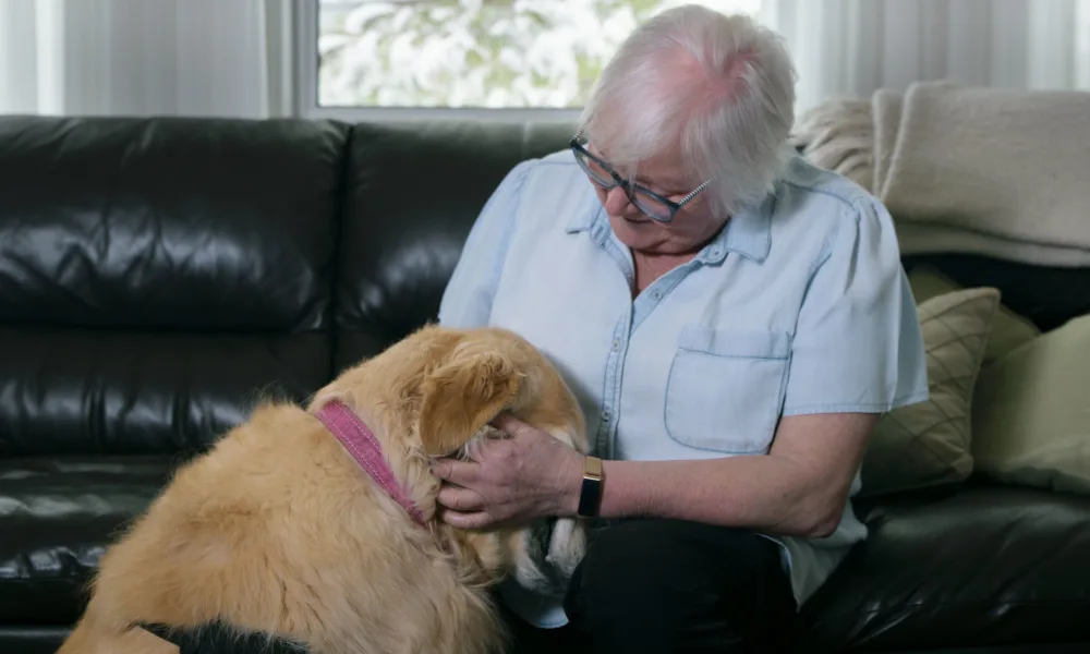 marilyn in her front room, playing with a beautiful golden retriever named bella