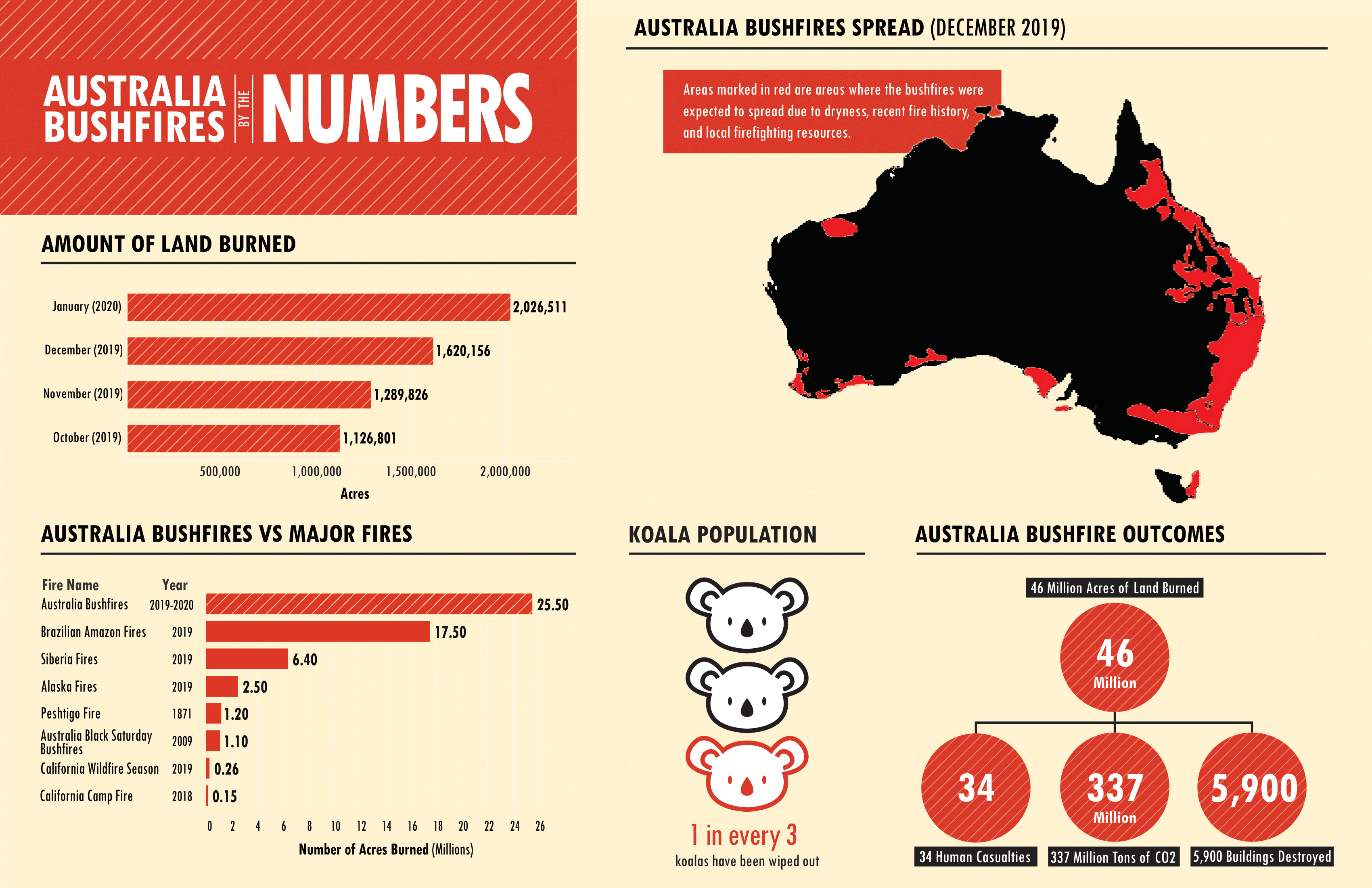 australian bushfires infographic
