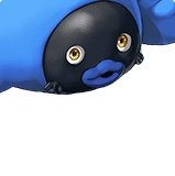 Uquaji