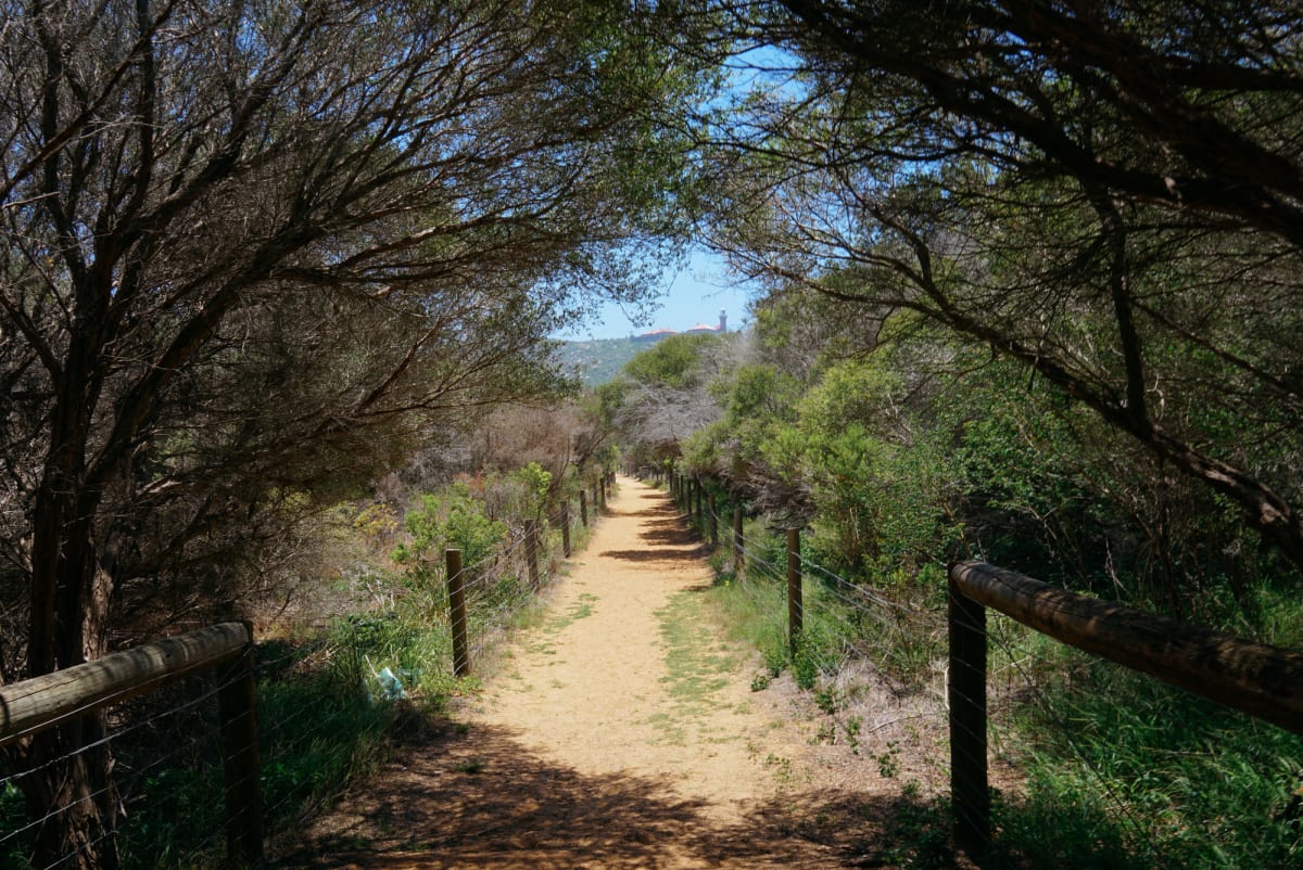 picturesque frame along the hike