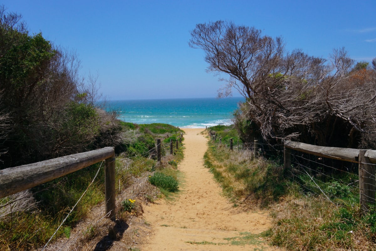 A track leading to another beach