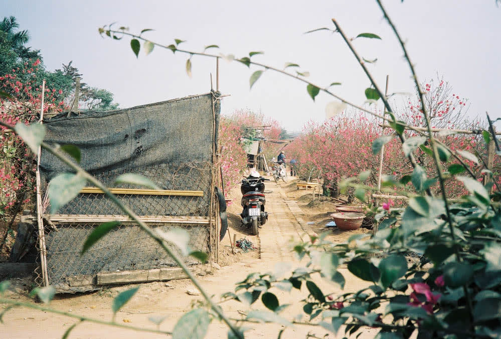 mototrbike at flower village