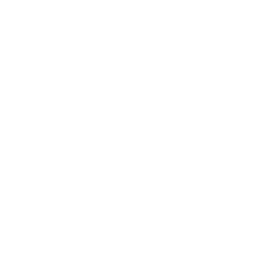 365 SEO