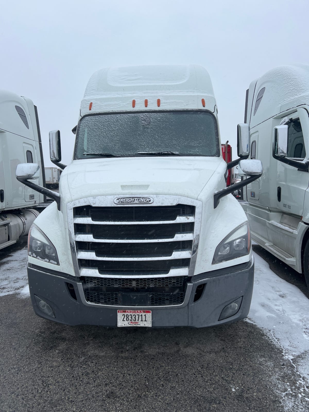 2019 Freightliner/Mercedes NEW CASCADIA PX12664 863604