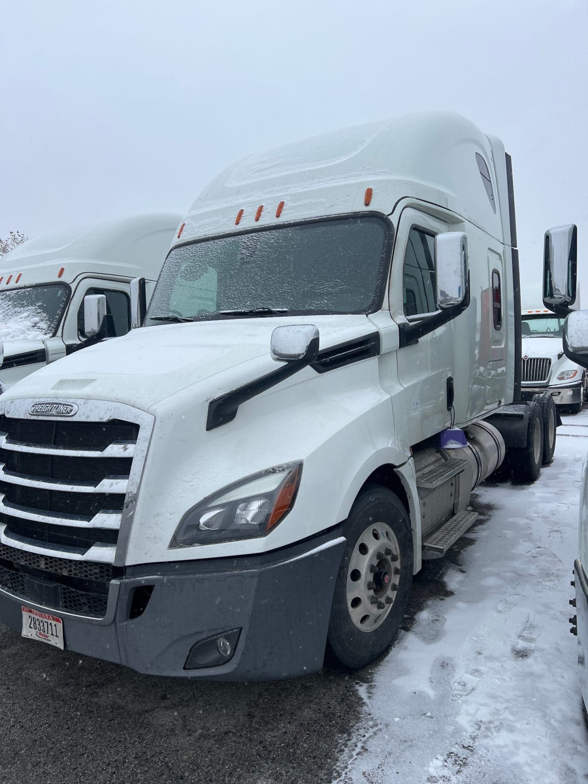 2019 Freightliner/Mercedes NEW CASCADIA PX12664 863604