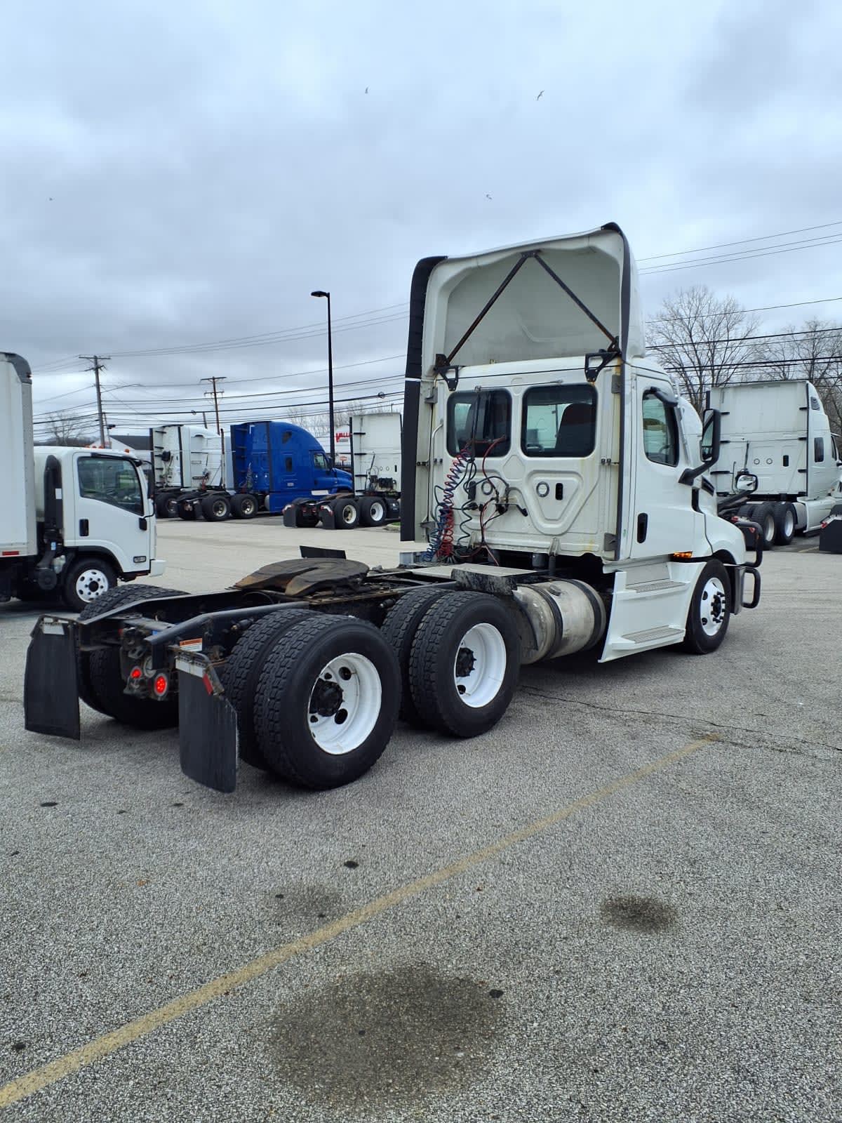 2021 Freightliner/Mercedes NEW CASCADIA PX12664 204550