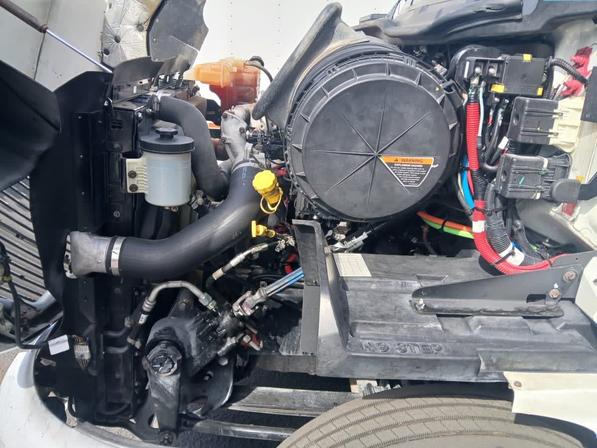 2019 International - image 8