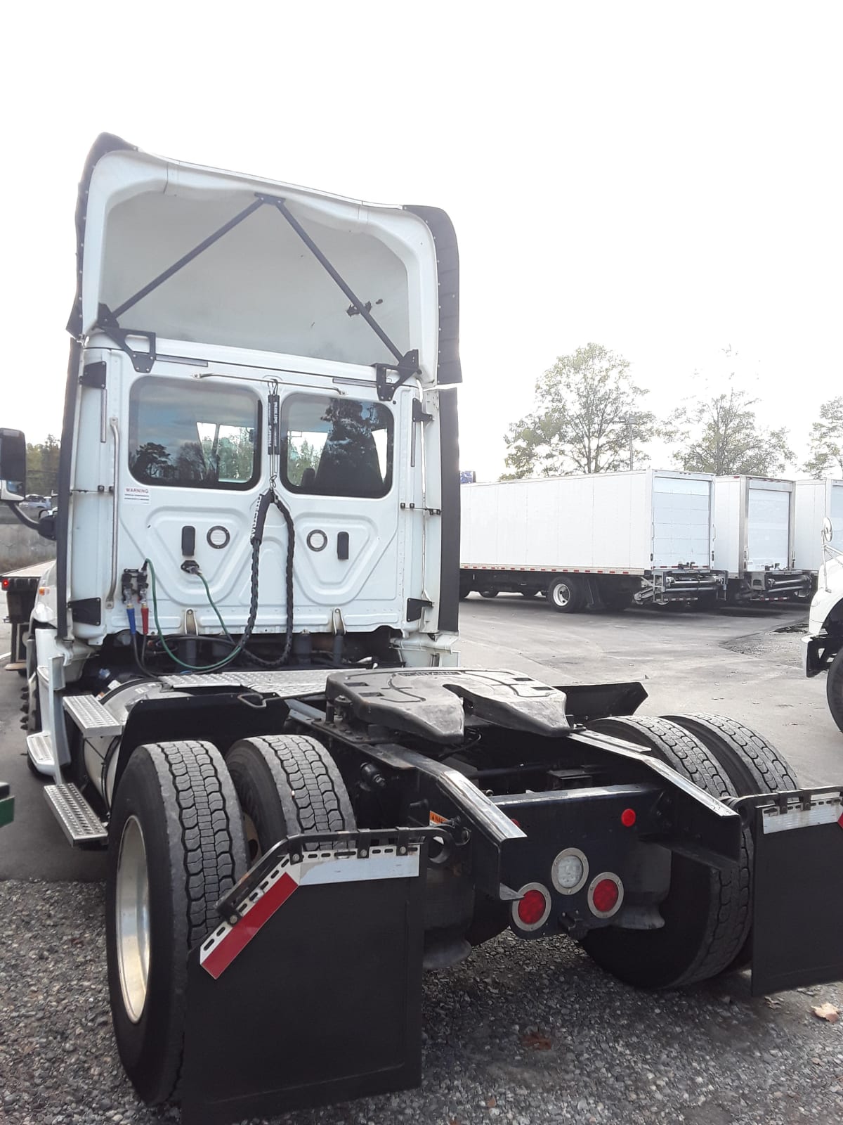 2018 Freightliner/Mercedes CASCADIA 113 221544