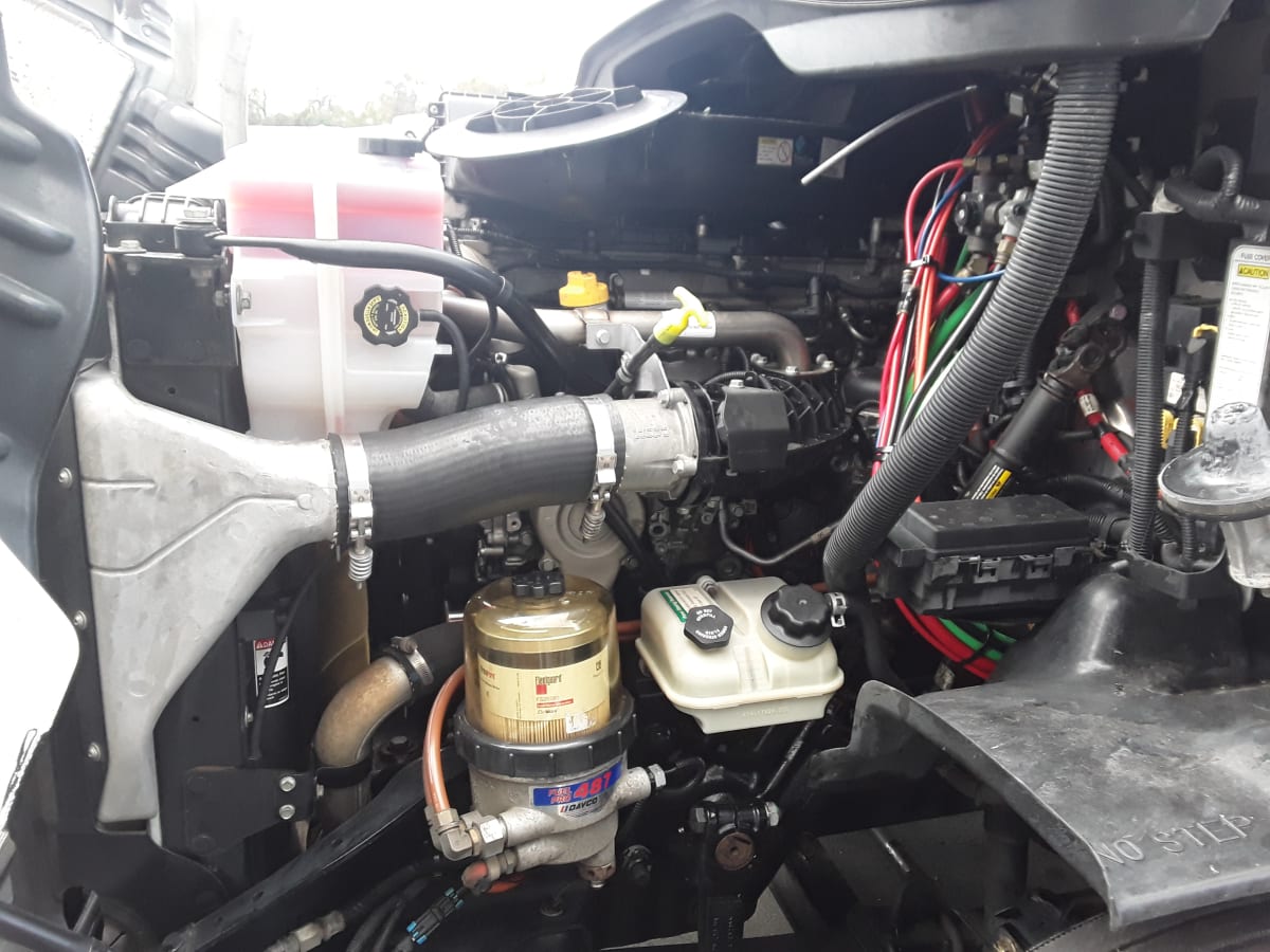 2018 Freightliner/Mercedes CASCADIA 113 221544