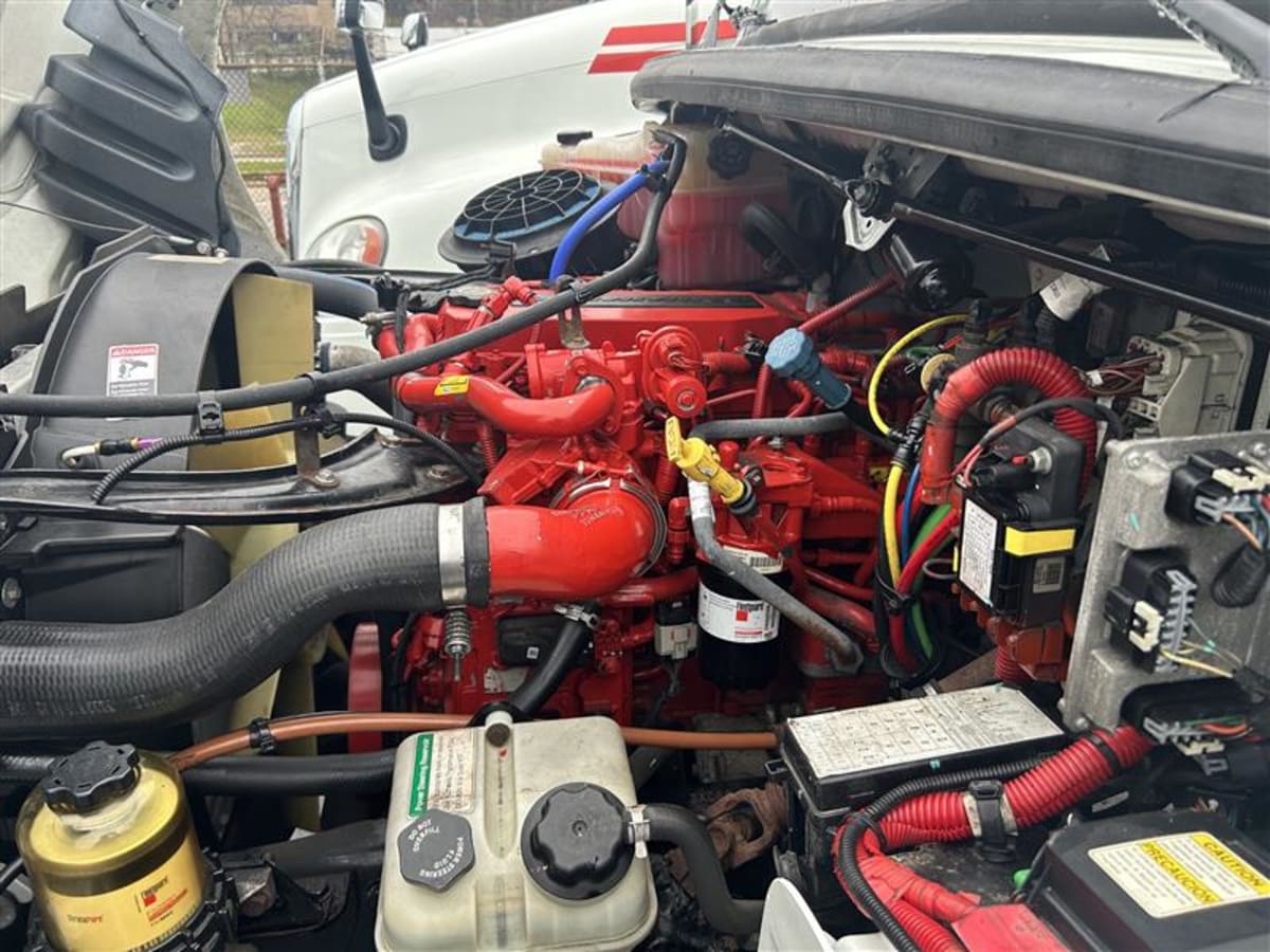 2019 Freightliner/Mercedes M2 106 222319