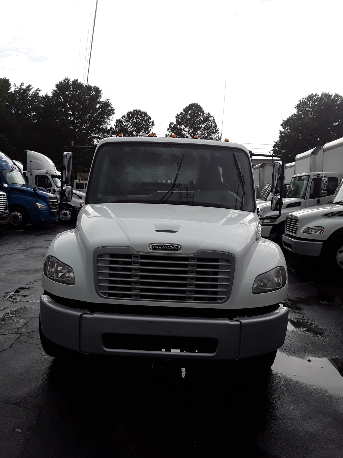 2019 Freightliner/Mercedes M2 106 222334