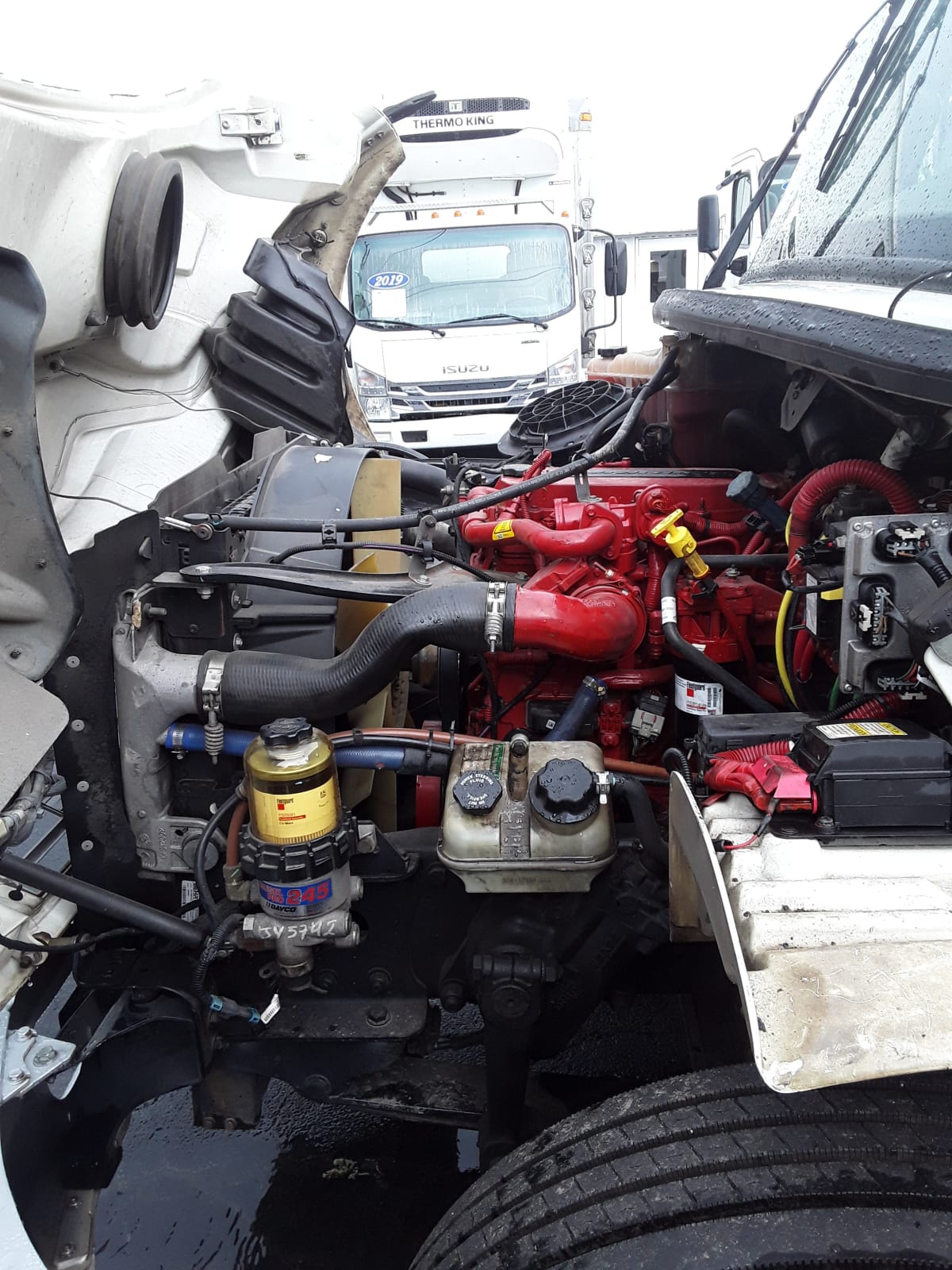 2019 Freightliner/Mercedes M2 106 222334