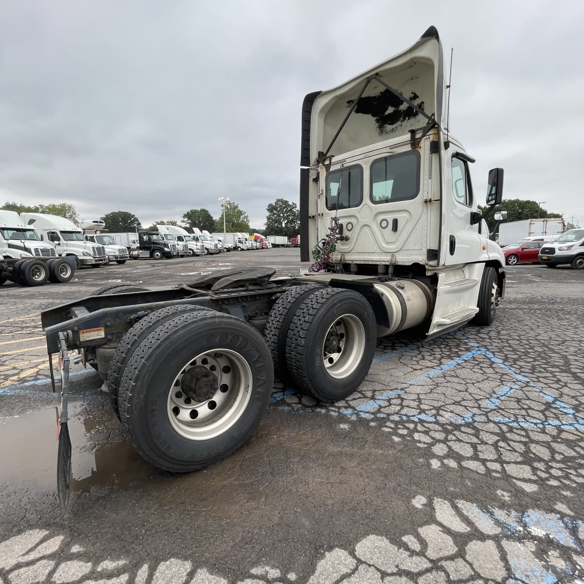 2018 Freightliner/Mercedes CASCADIA 125 222768