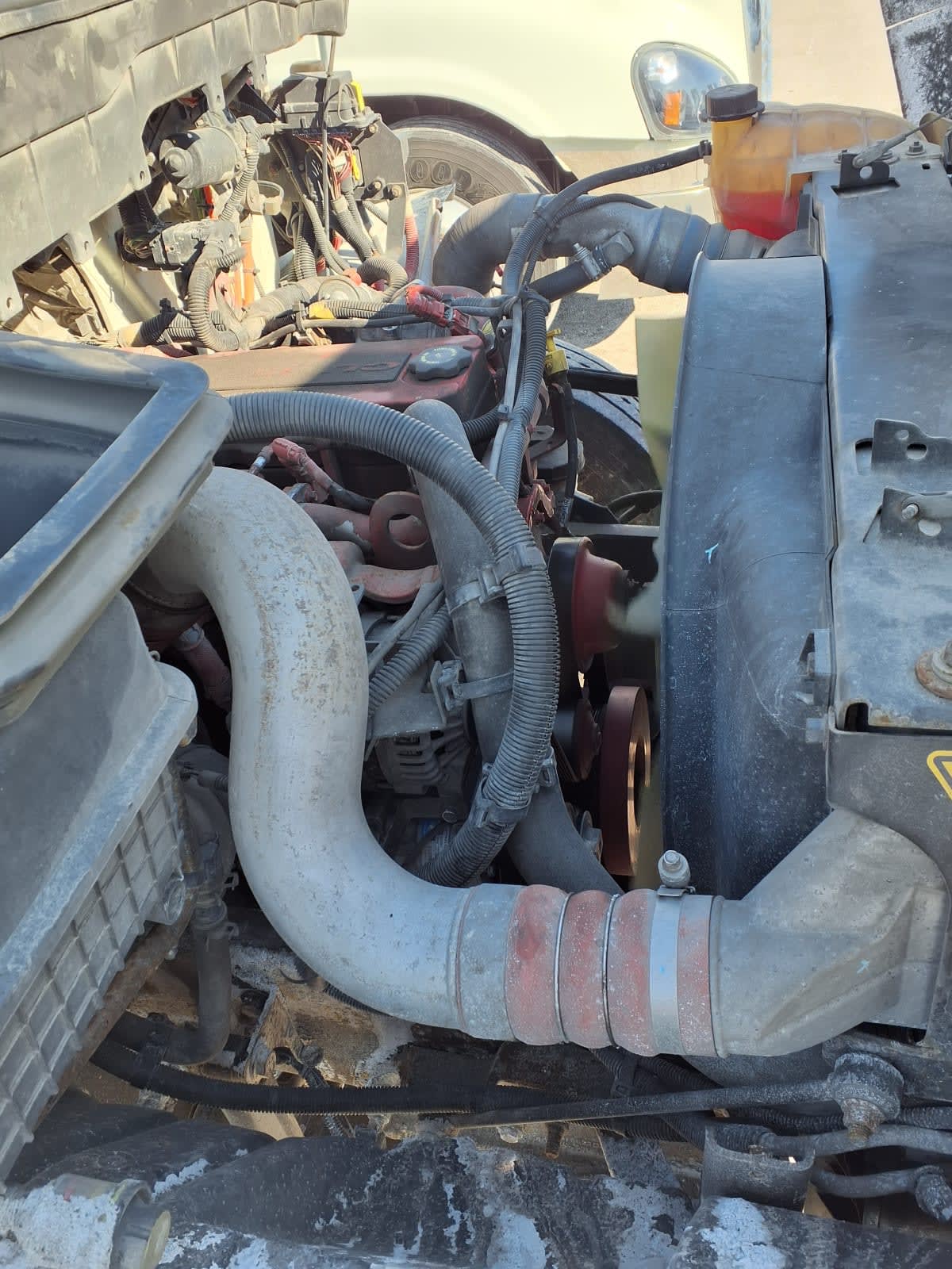 2020 Navistar International MV607 (4X2) 223432