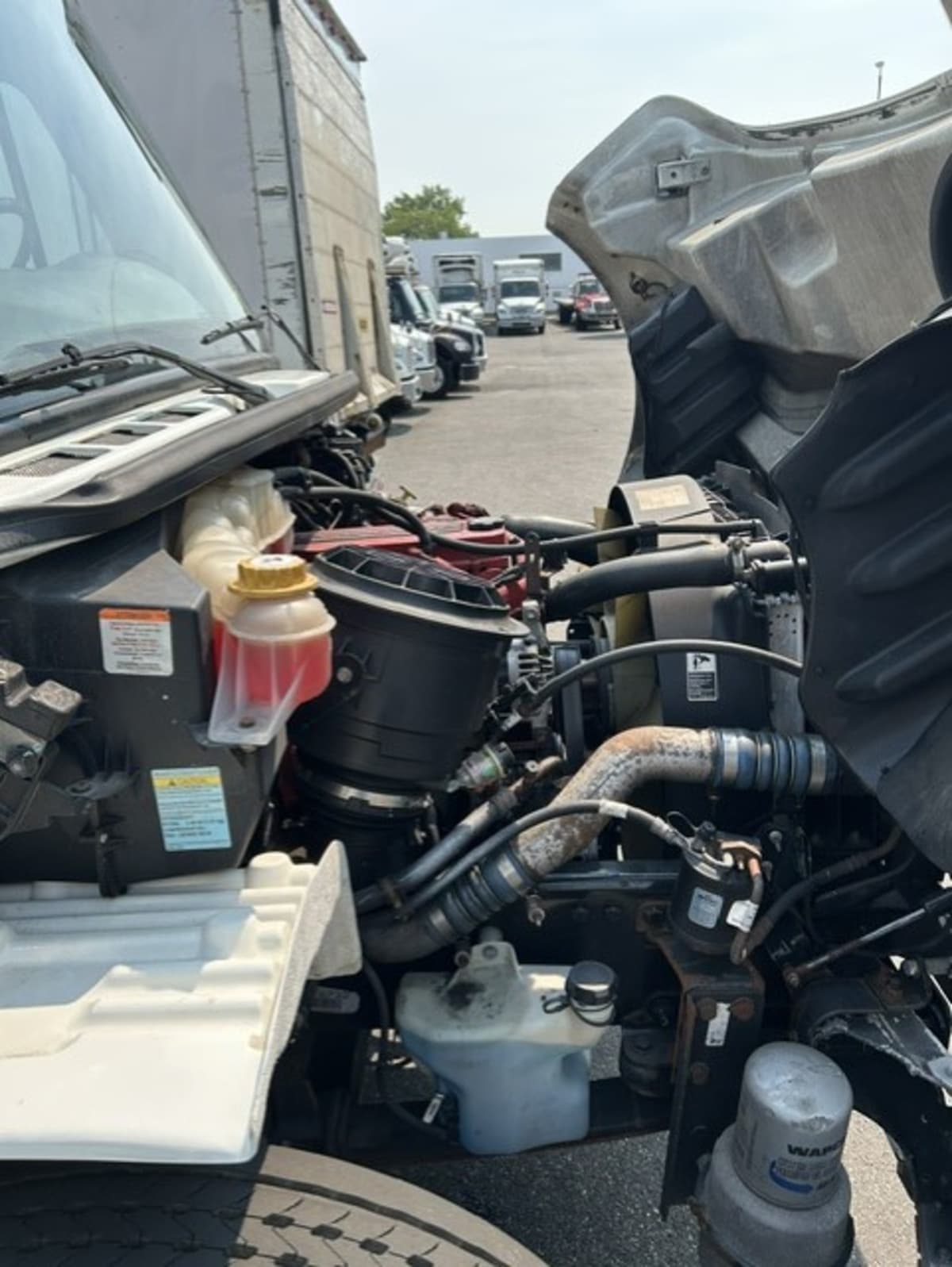 2020 Freightliner/Mercedes M2 106 229017