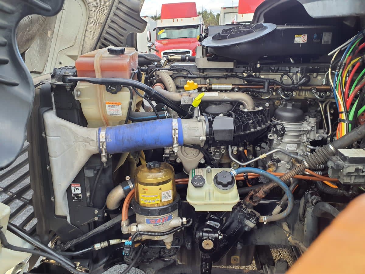 2020 Freightliner/Mercedes CASCADIA 125 229166