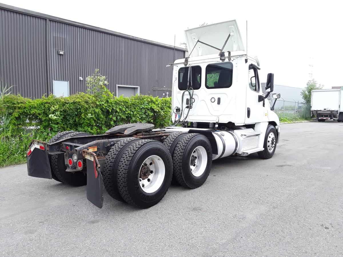 2020 Freightliner CASCADIA 125 229484