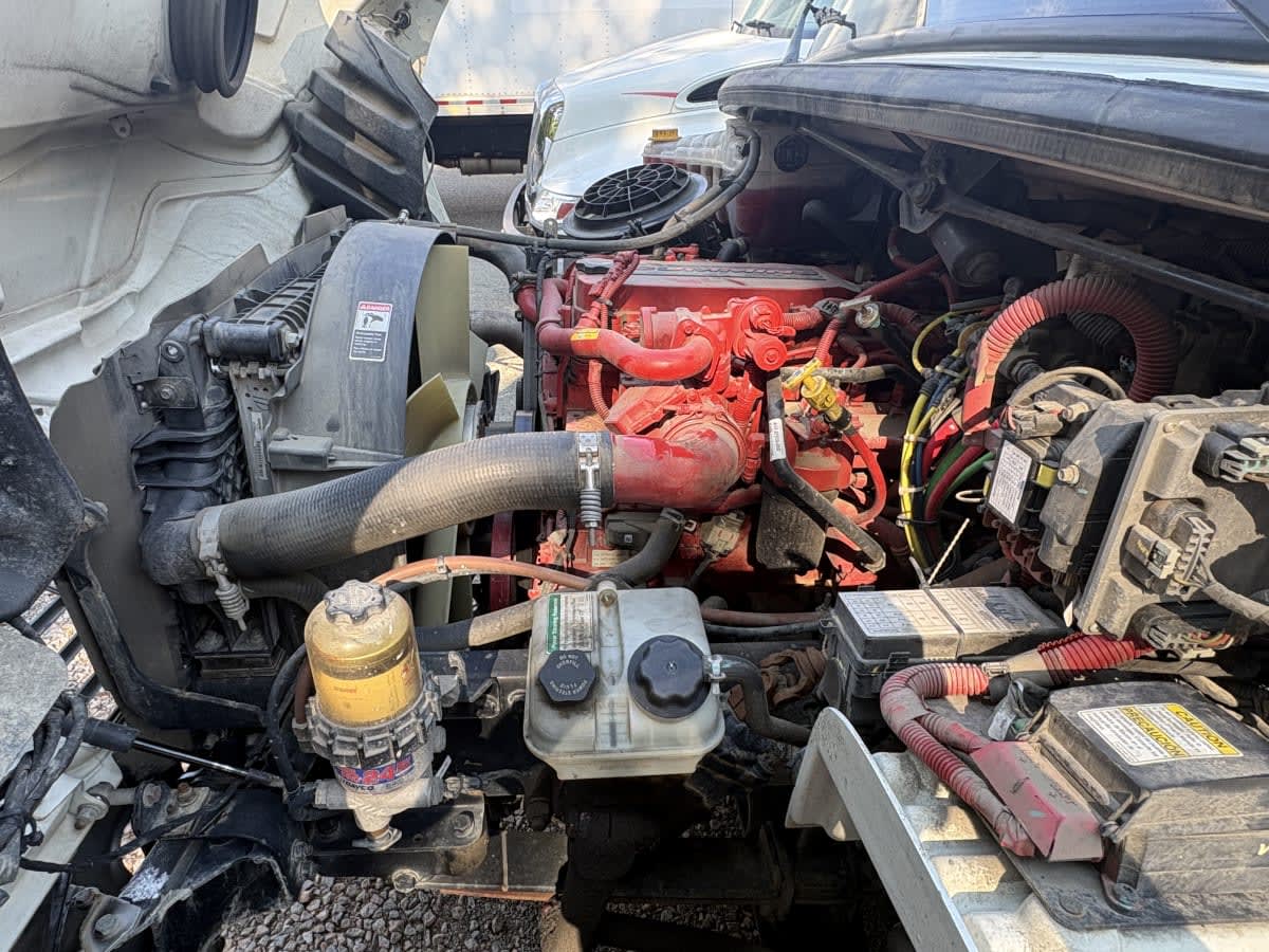 2020 Freightliner/Mercedes M2 106 230071