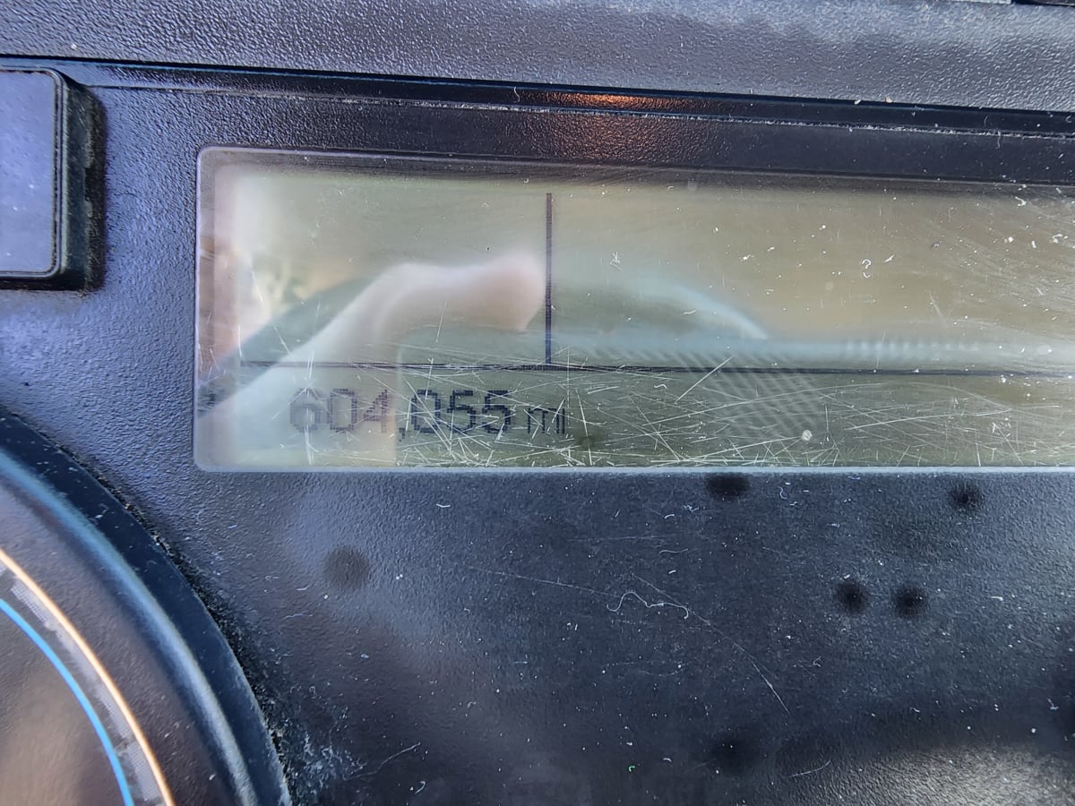 2020 Freightliner/Mercedes CASCADIA 125 230313