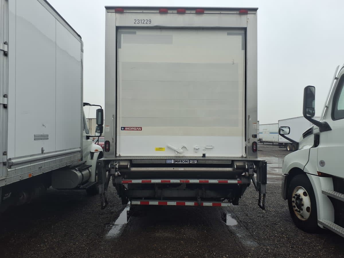 2019 Navistar International MV607 (4X2) 231229