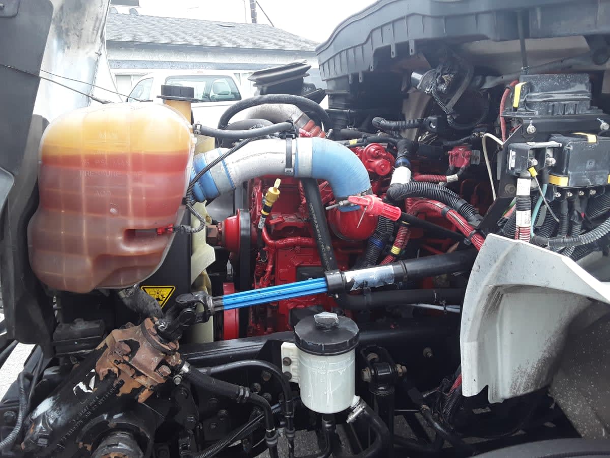 2019 Navistar International MV607 (4X2) 231236