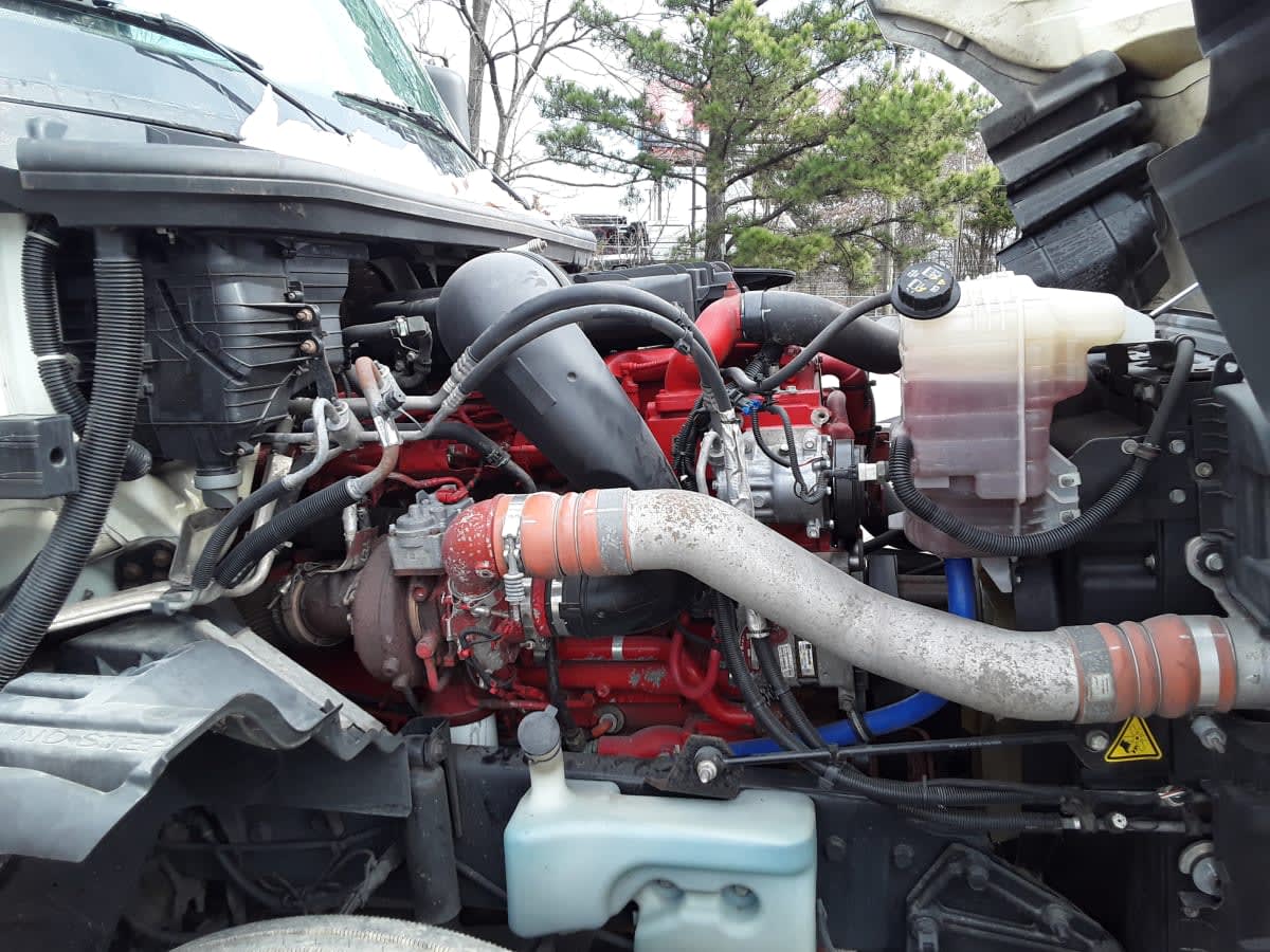 2020 International - image 11