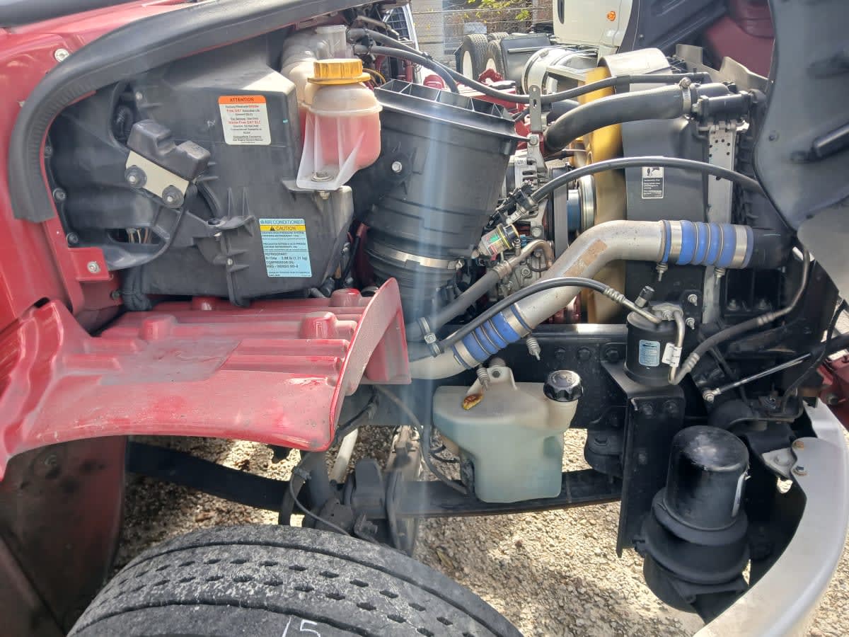 2020 Freightliner/Mercedes M2 106 233027