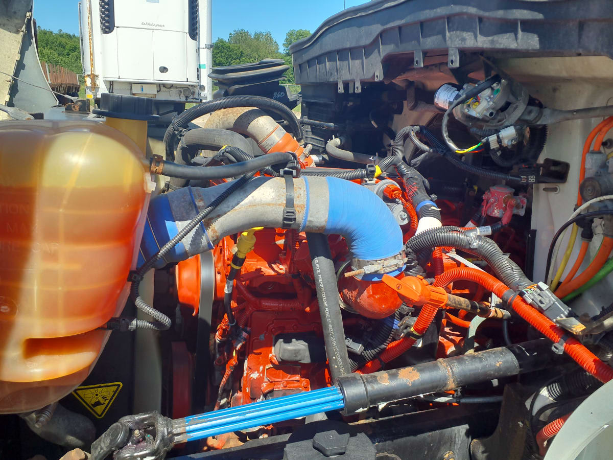 2019 Navistar International MV607 (4X2) 233613