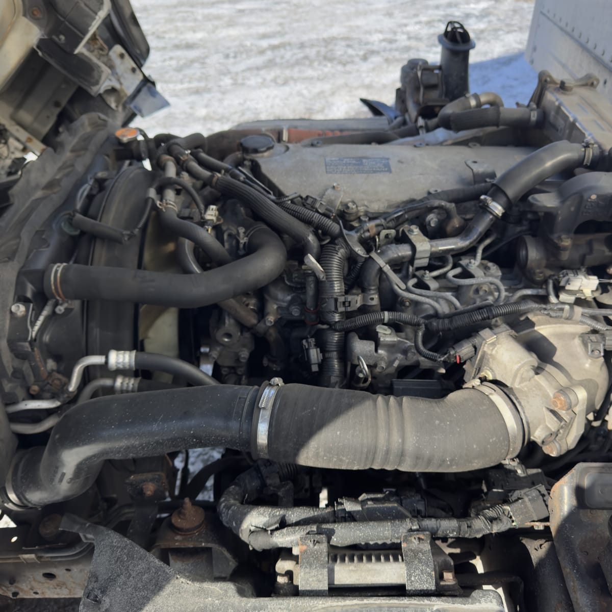 2019 Isuzu NQR 234277