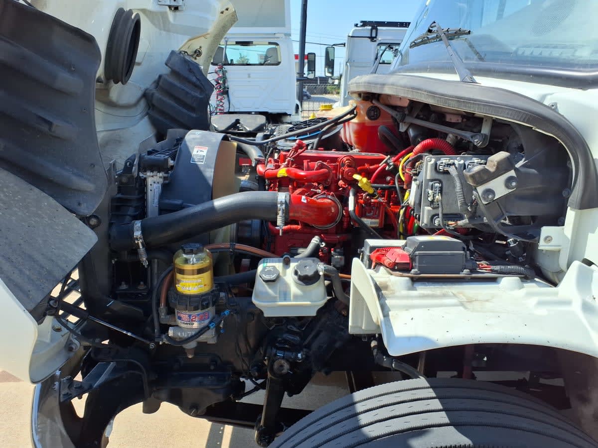 2020 Freightliner/Mercedes M2 106 238307
