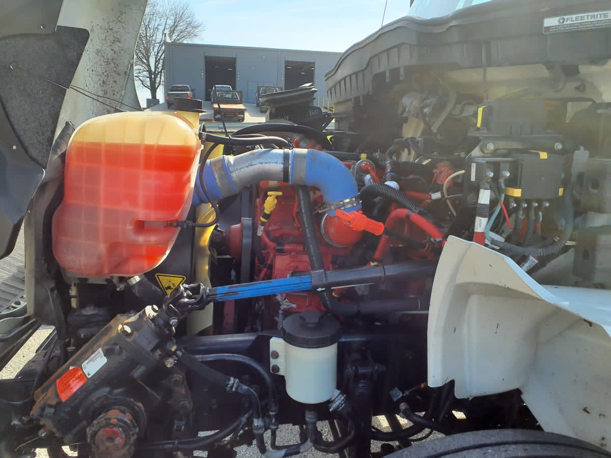 2019 Navistar International MV607 (4X2) 238653