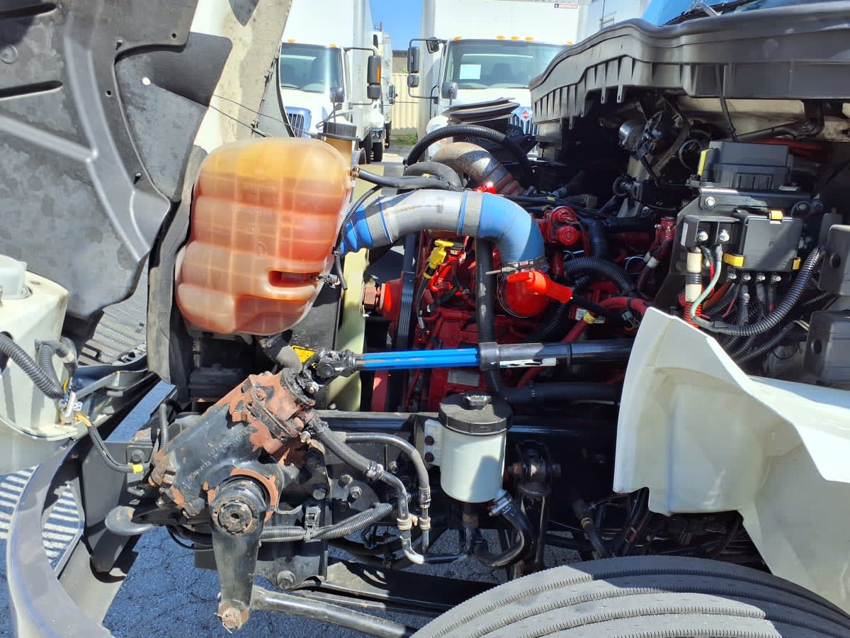 2019 Navistar International MV607 (4X2) 238847