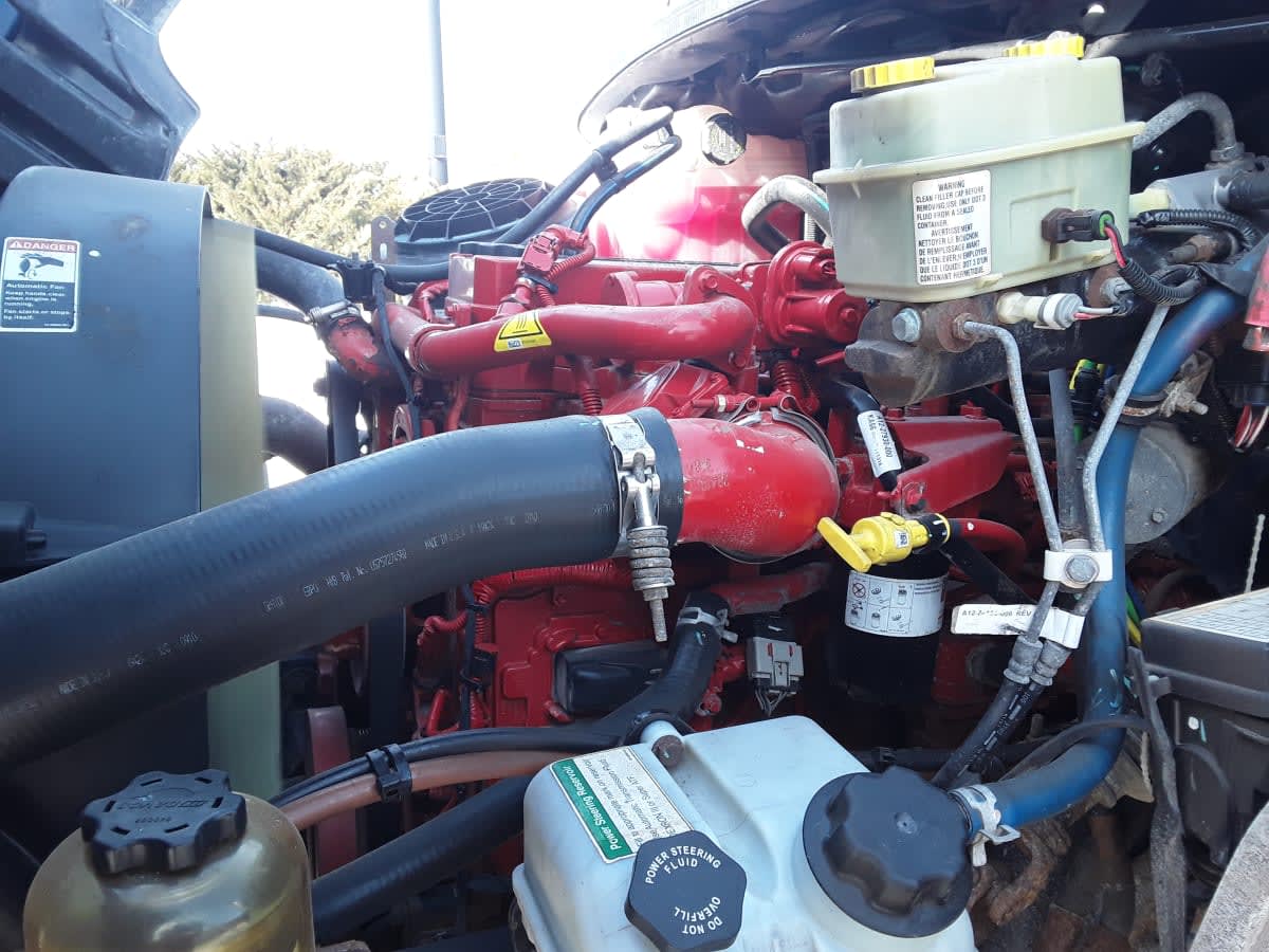 2020 Freightliner/Mercedes M2 106 238903