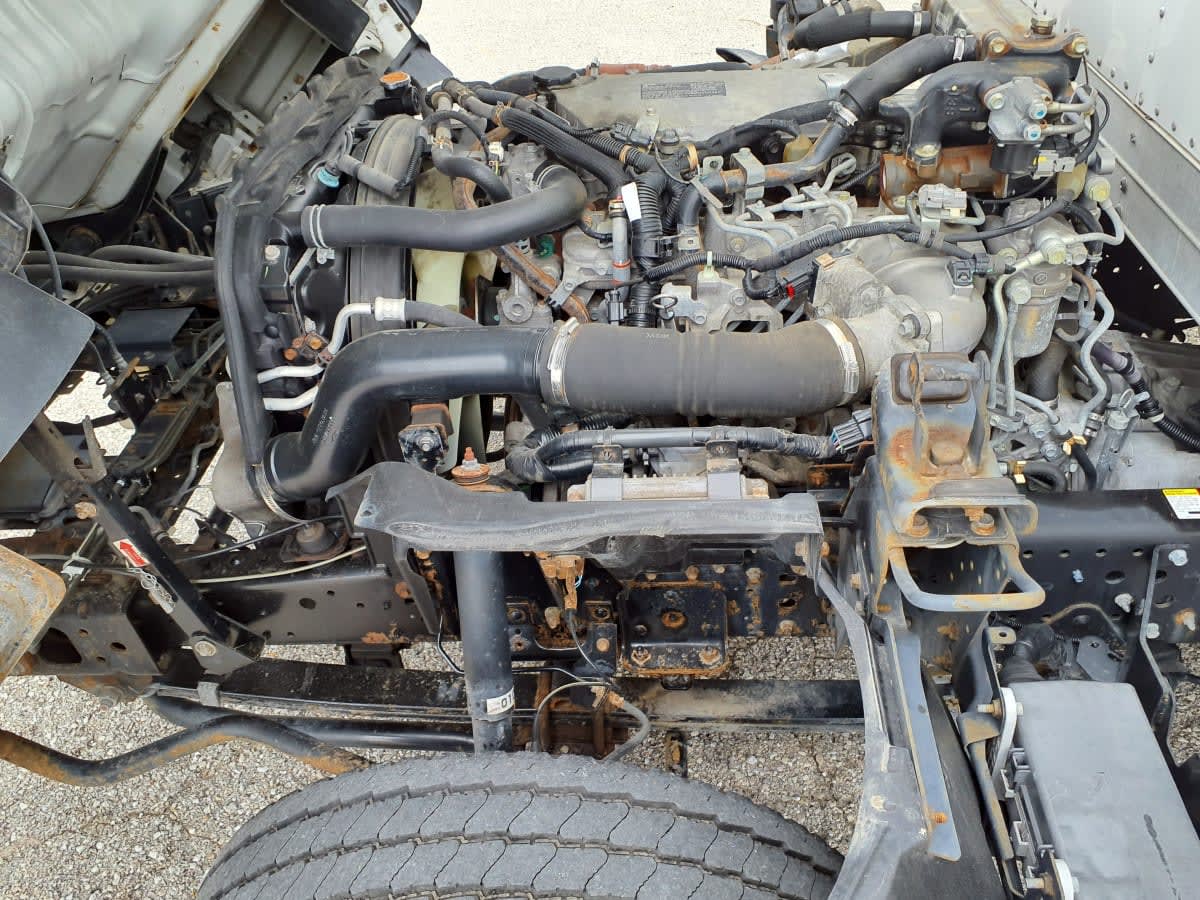 2019 Chevrolet Motor Div. LCF 4500HD 239044