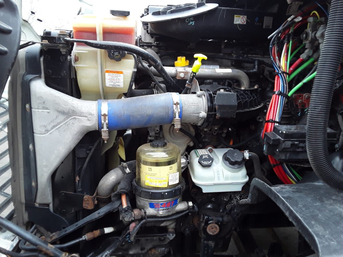 2020 Freightliner CASCADIA 113 239512