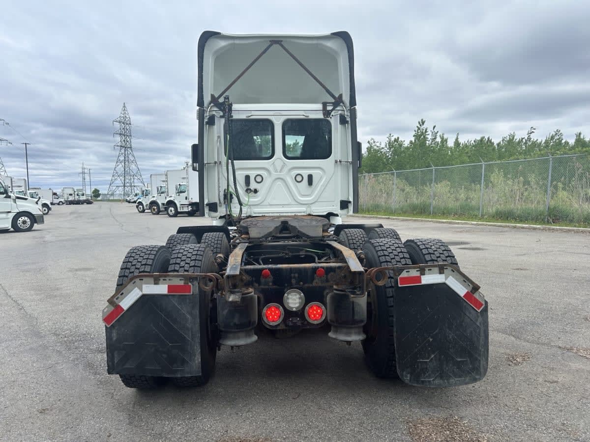 2020 Freightliner CASCADIA 113 239519